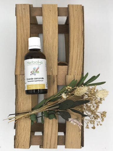 GRANDE CAMOMILLE PLANTE FRAICHE BIO 50ML - HERBIOLYS