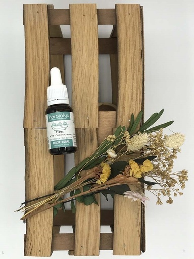 HOLLY /HOUX BIO 15ML - HERBIOLYS