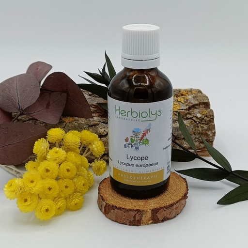 LYCOPE EXTRAIT DE PLANTES BIO 50ML - HERBIOLYS