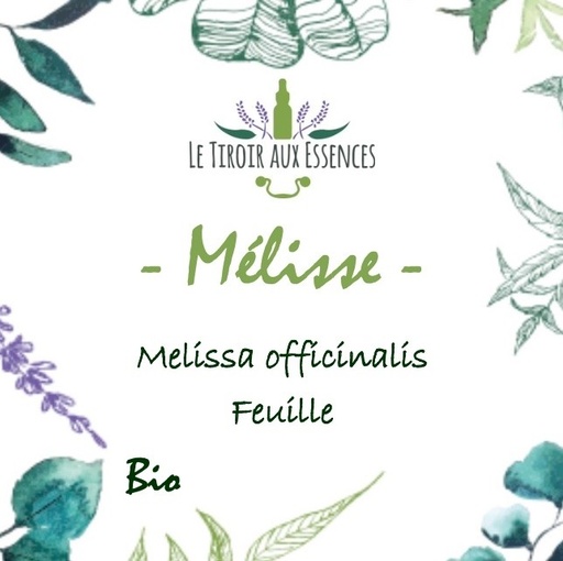 MELISSE