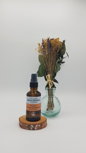 NOYAU D ABRICOT HV BIO 50ML - DE SAINT HILAIRE