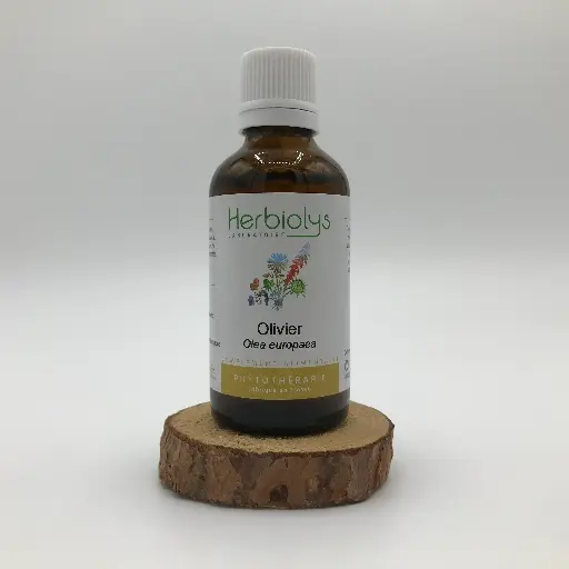 OLIVIER / OLEA EUROPAEA BOURGEONS DE FEUILLES BIO 50ML - HERBIOLYS