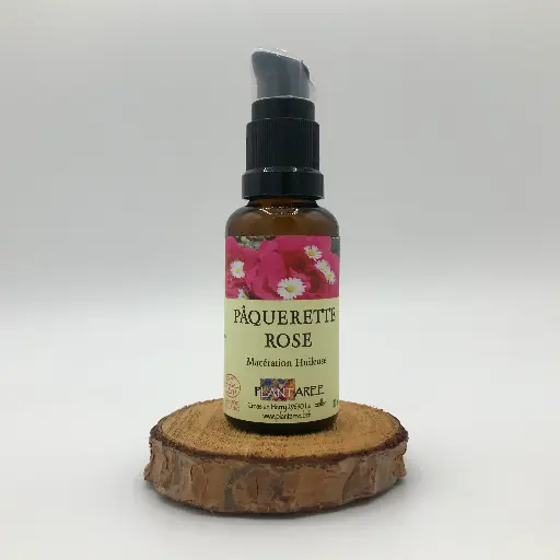 PAQUERETTE ROSE - MACERATION HUILEUSE - 30 ML - PLANTAREE
