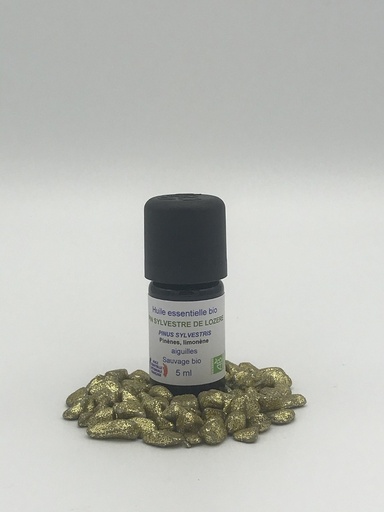 PIN SYLVESTRE DE LOZERE HE BIO 5ML - ESSENCIAGUA