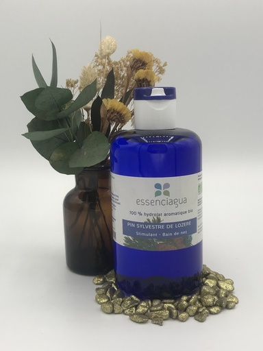 PIN SYLVESTRE HYDROLAT BIO 250ML - ESSENCIAGUA