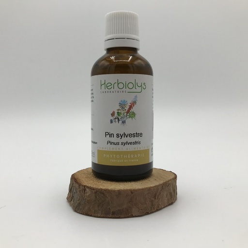 PIN SYLVESTRE/ PINUS SYLVESTRIS - PLANTE FRAICHE BIO 50ML - HERBIOLYS