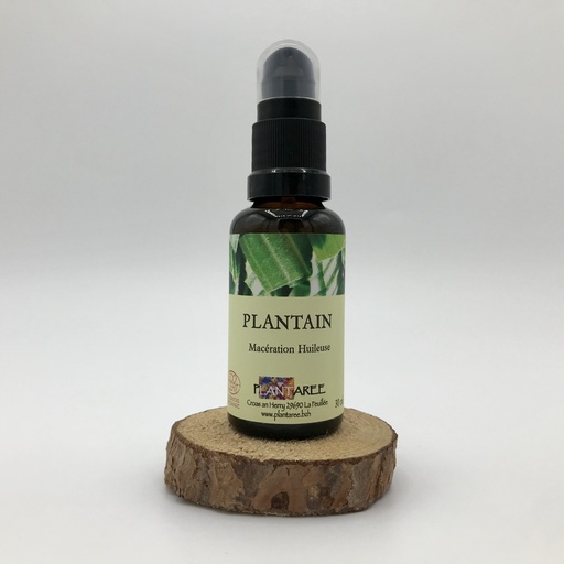 PLANTAIN - MACERATION HUILEUSE - 30 ML - PLANTAREE