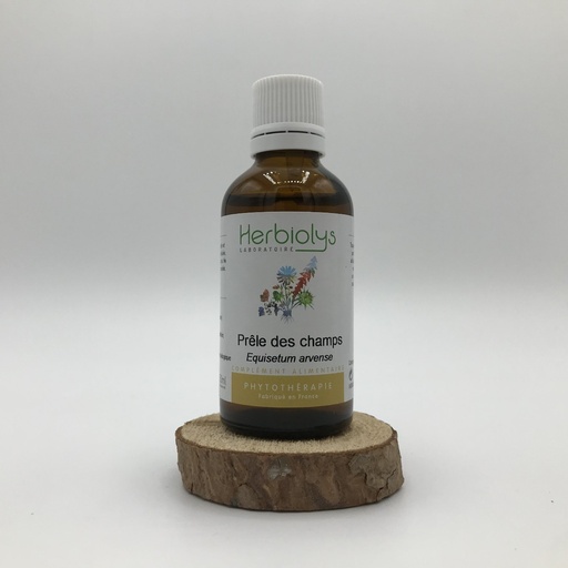 PRELE DES CHAMPS/ EQUISETUM ARVENSE - PLANTE FRAICHE BIO 50ML - HERBIOLYS