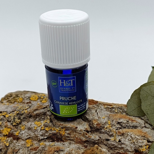 PRUCHE BIO HE 5ML HERBES ET TRADITIONS