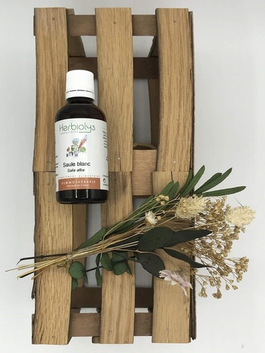 SAULE BLANC / SALIX ALBA - BOURGEONS DE FEUILLES BIO 50 ML - HERBIOLYS