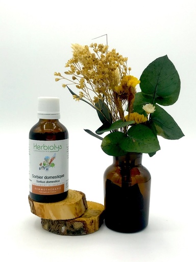 SORBIER / SORBUS DOMESTICA - BOURGEONS BIO 50ML - HERBIOLYS