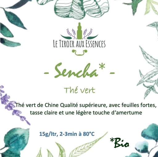 THE VERT SENCHA - BIO