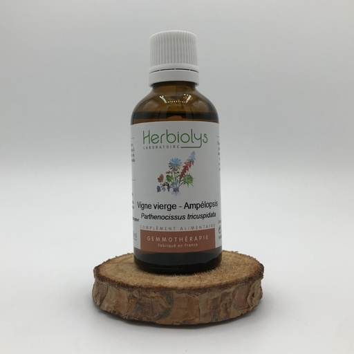 VIGNE VIERGE / AMPELOPSIS - BOURGEONS BIO 50ML HERBIOLYS