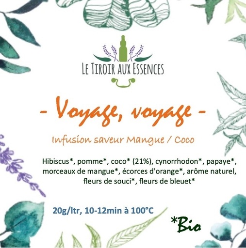VOYAGE VOYAGE - BIO