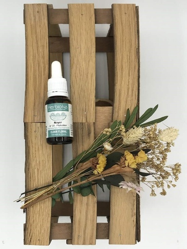 WALNUT /NOYER BIO 15ML - HERBIOLYS