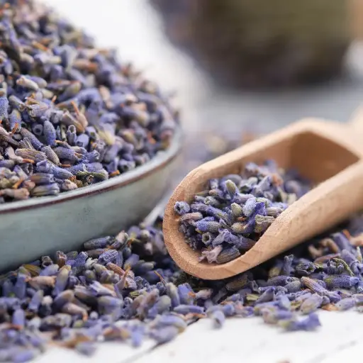LAVANDE BIO / LAVANDULA ANGUSTIFOLIA Mill. - PLANTE SECHE