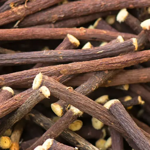 REGLISSE BIO / GLYCYRRHIZA GLABRA - PLANTE AROMATIQUE