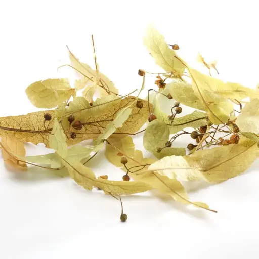 TILLEUL (Tilia platyphyllos) BIO - BRACTEE ENTIERE